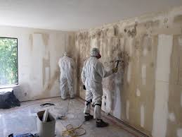 Best Water Damage & Mold Remediation  in Chester, SC